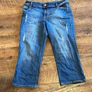 Lame Bryant Genius Fit Jeans